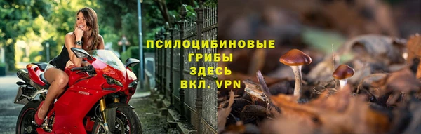 дурь Кулебаки