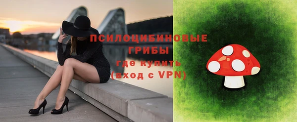 a pvp Кукмор