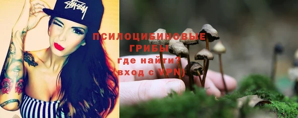 гидропоника Абаза
