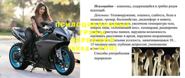 ПСИЛОЦИБИНОВЫЕ ГРИБЫ Абинск
