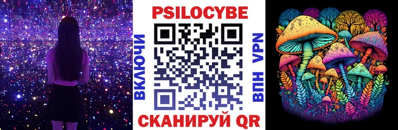Псилоцибиновые грибы Cubensis  shop как зайти  Ильский 